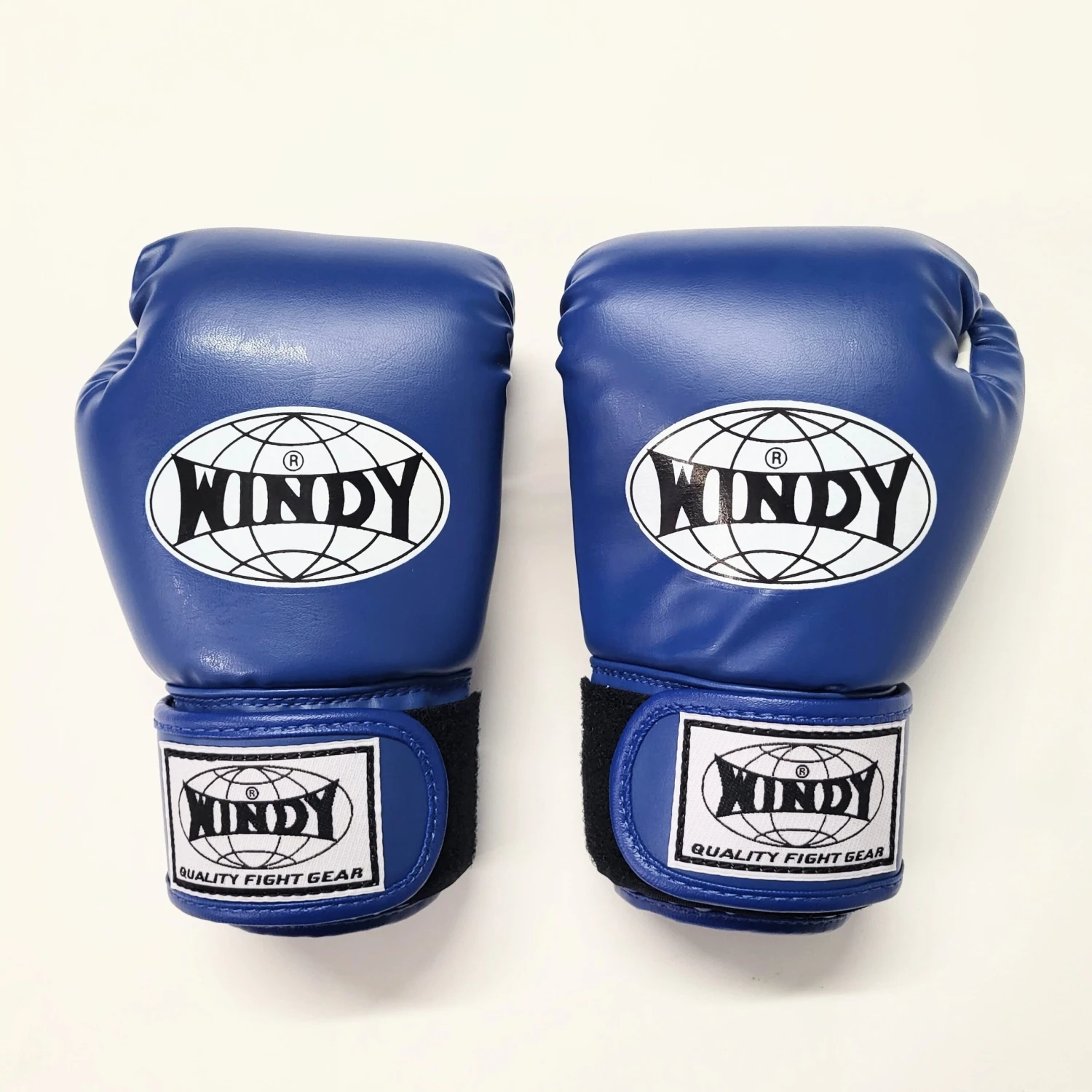 Windy Muay Thai Kids Youth Boxing Gloves Blue Windy Muay Thai Kids Youth Boxing Gloves Blue -Boxing Equipment Store 20220725 114147 2 scaled