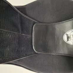 Windy BLBV Muay Thai Belly Pad Bellypad Velcro Black -Boxing Equipment Store 20220725 122329