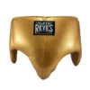 Cleto Reyes Kidney And Foul Protection Cup Groin Guard Solid Gold