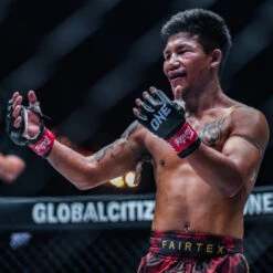 Fairtex Muay Thai Shorts Red/Black BS1919 -Boxing Equipment Store FairtexCanadaBS1919RedBlackMuayThaiShortsrodtang